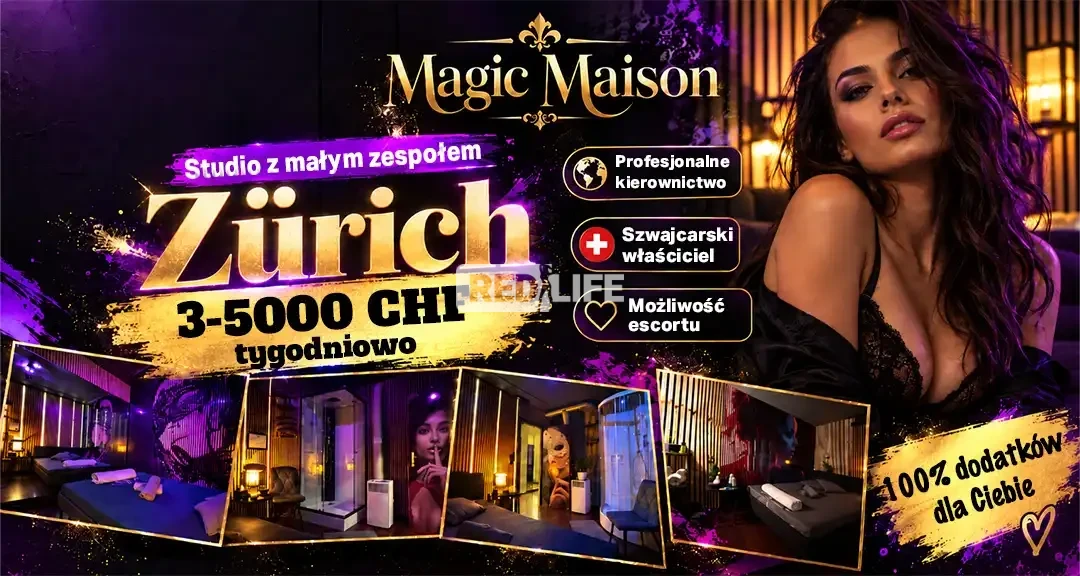 Ruchliwa praca erotyczna w Zurychu: