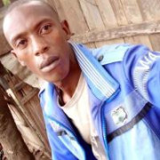 Dayvid
