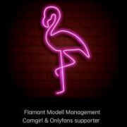 FlamantModell