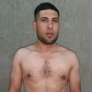 hamzawy2011